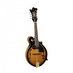 BMA-100ES - Bluegrass mandolin plywood hársfa fedlappal - U282U