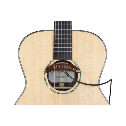 SP-1 - SP-1 pickup acoustic guitar hole - U423U