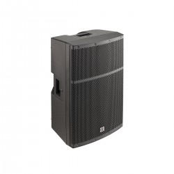 ESTRO 15P - 2-Way 15 Professional Passive Speaker - J398J