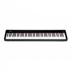 NPK-10 - Portable digital piano - J446J