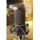 Audio-Technica AT2050 stúdiómikrofon (Stúdió mikrofonok) | Opus Hangszer és Zenemű Webáruház